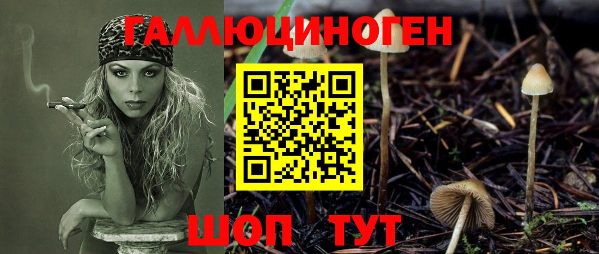 купить закладку  Вход с VPN  Рославль  Псилоцибиновые грибы прущие грибы 
